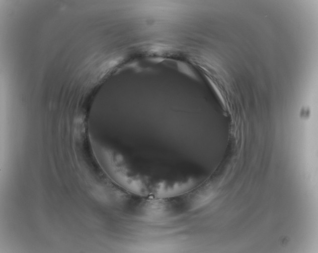 X0000092060127200709121402