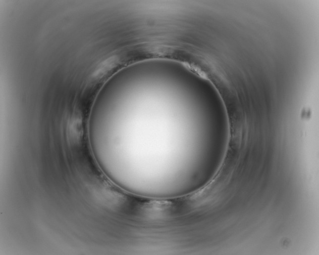 X0000092060128200709121401