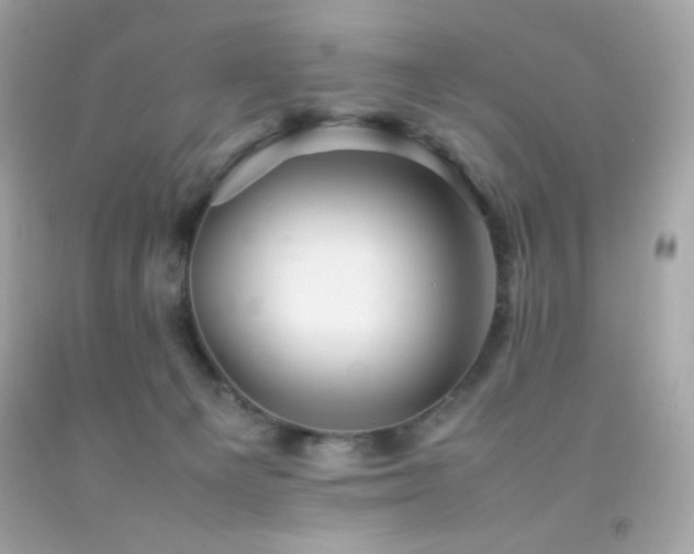 X0000092060129200709121401