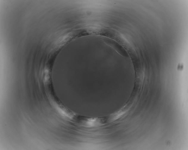 X0000092060130200709121401