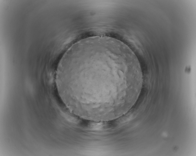 X0000092060131200709121401