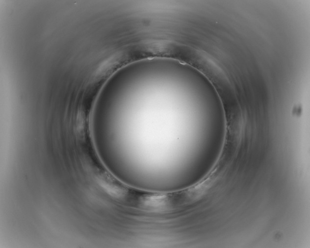 X0000092060132200709121401