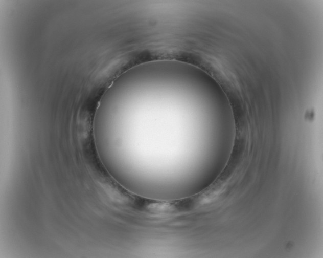 X0000092060133200709121401