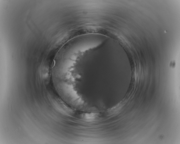 X0000092060134200709121401