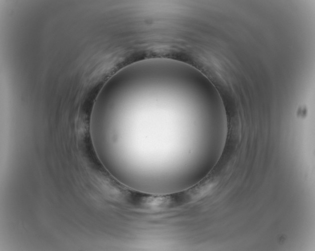 X0000092060135200709121401