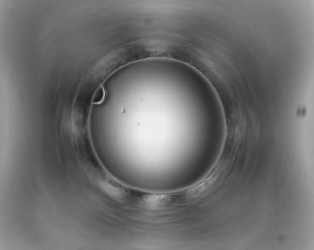 X0000092060136200709121401