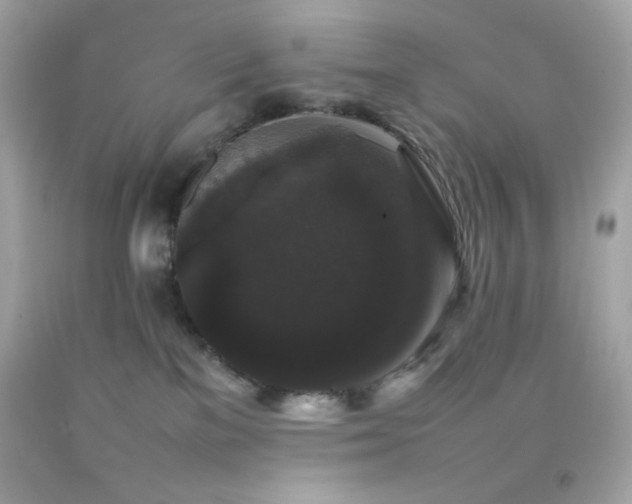 X0000092060137200709121401