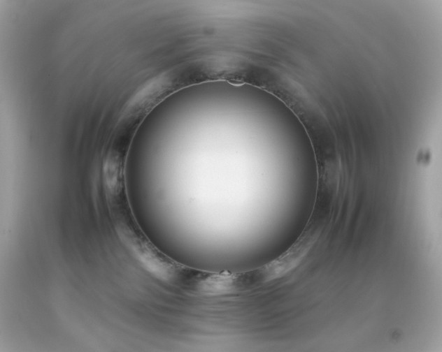 X0000092060138200709121401