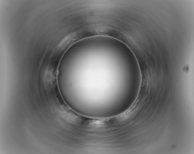 X0000092060140200709121401