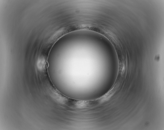 X0000092060142200709121401