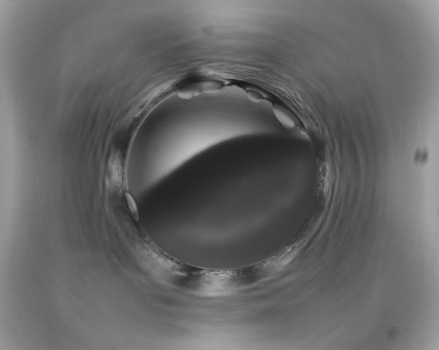 X0000092060143200709121401