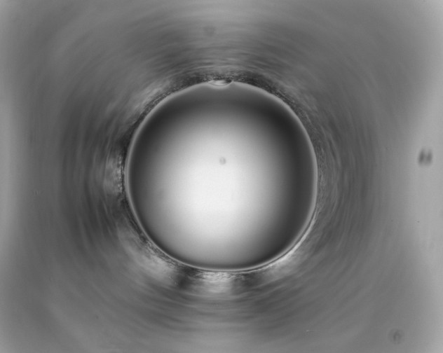 X0000092060144200709121401