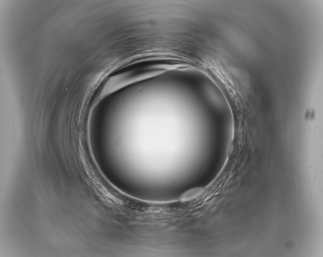 X0000092060145200709121401