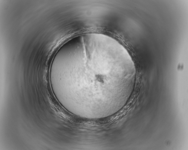 X0000092060146200709121401