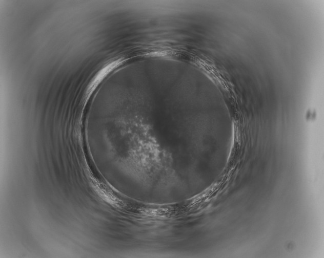 X0000092060147200709121401