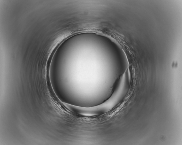 X0000092060148200709121401