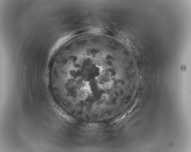 X0000092060149200709121401