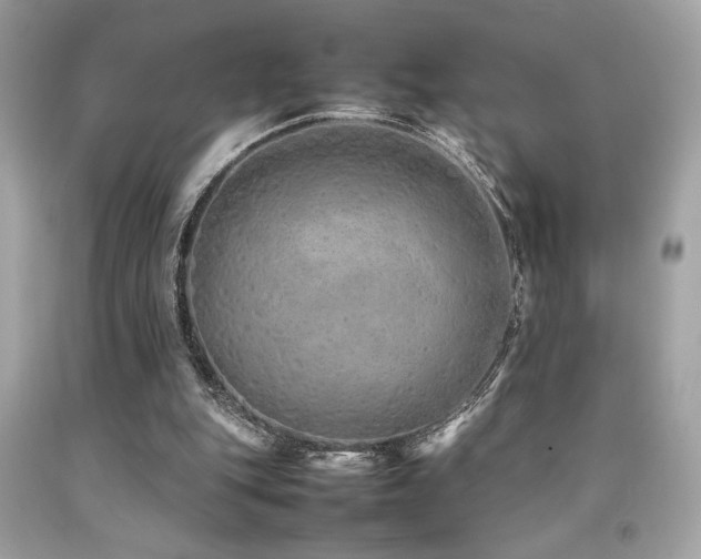 X0000092060151200709121401