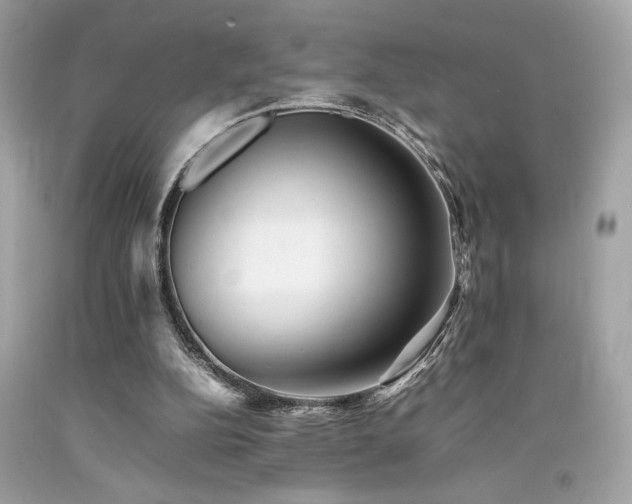 X0000092060152200709121401