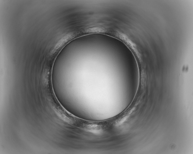 X0000092060153200709121401