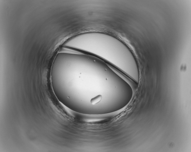 X0000092060154200709121401