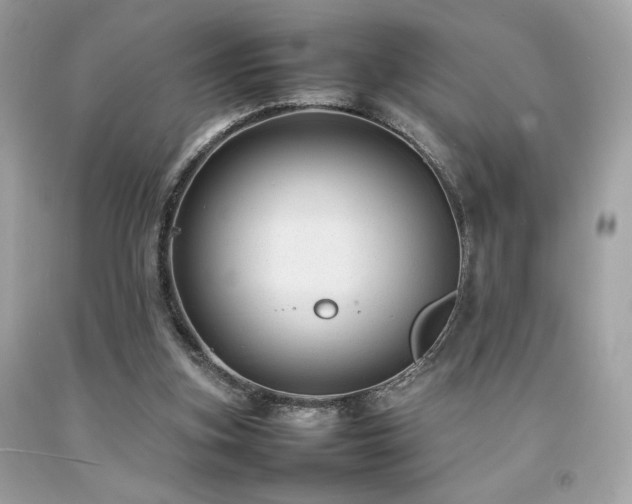 X0000092060155200709121401