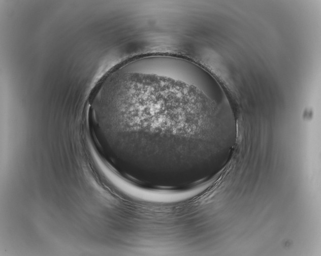 X0000092060156200709121401