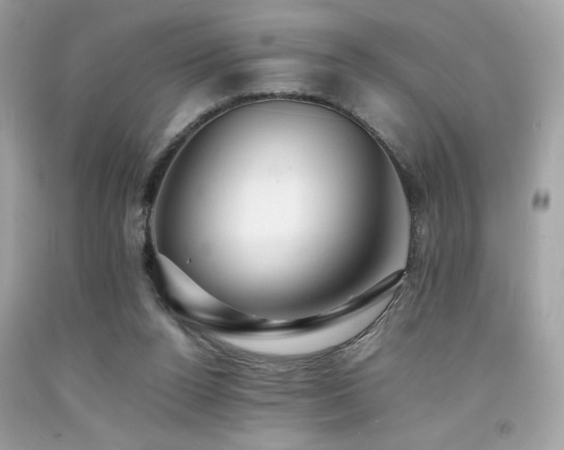 X0000092060160200709121401