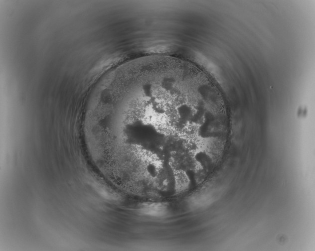 X0000092060161200709121401