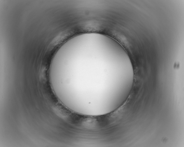 X0000092060162200709121401