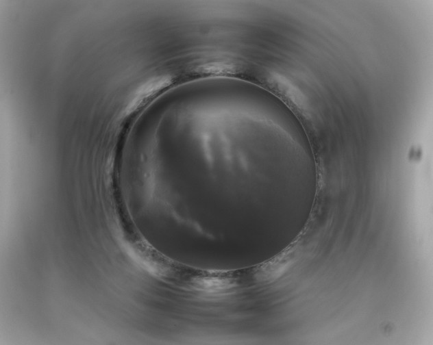 X0000092060163200709121401