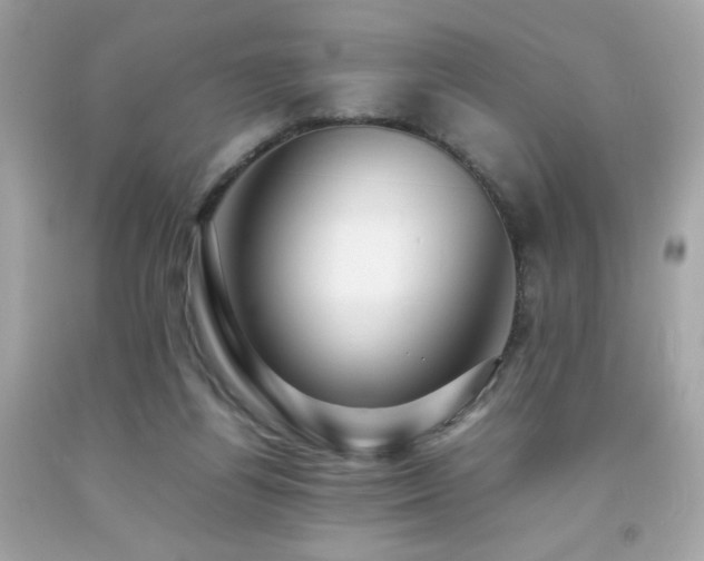 X0000092060164200709121401