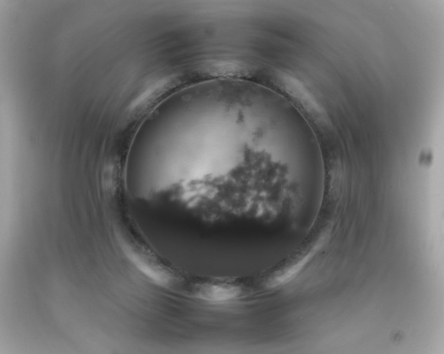 X0000092060165200709121401