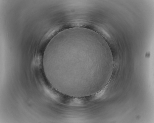 X0000092060166200709121401