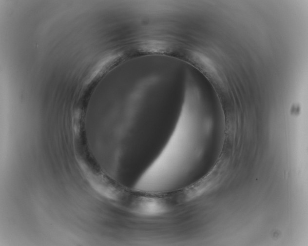 X0000092060167200709121401