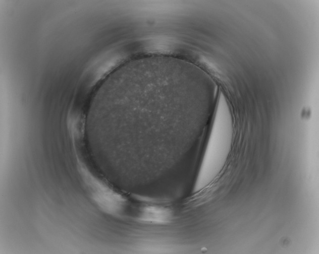 X0000092060168200709121401