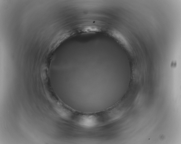 X0000092060169200709121401