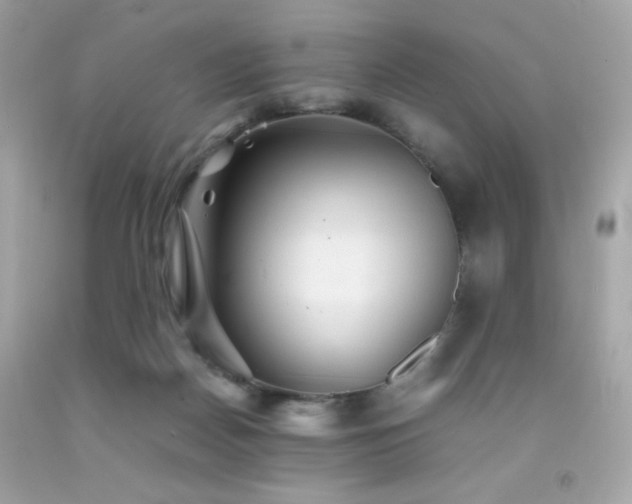 X0000092060170200709121401