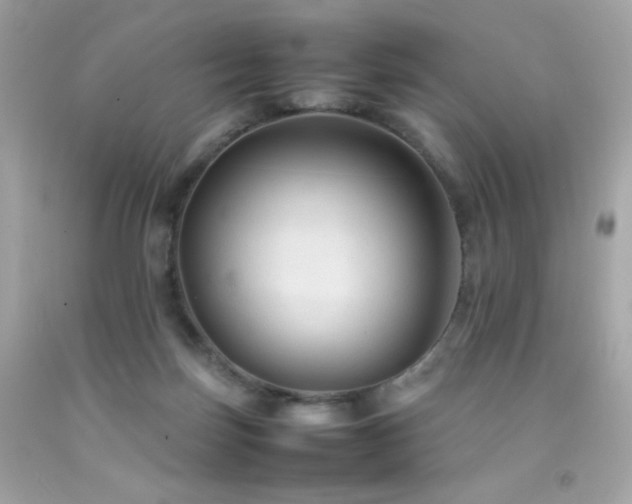 X0000092060171200709121401