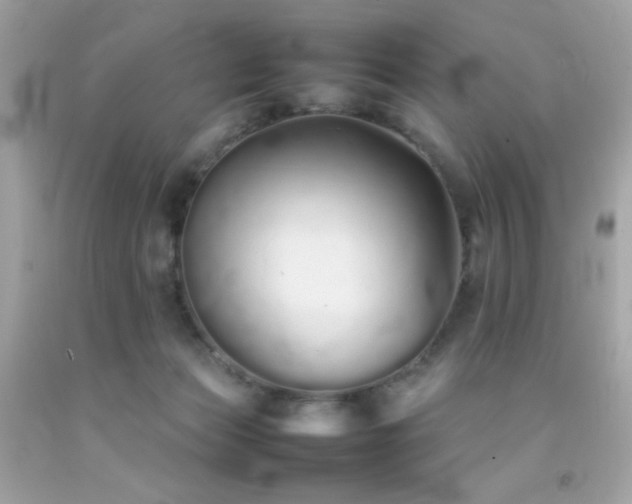 X0000092060173200709121401