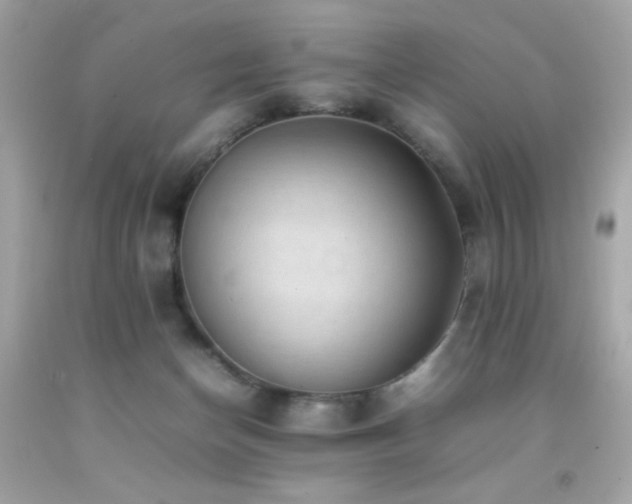 X0000092060174200709121401