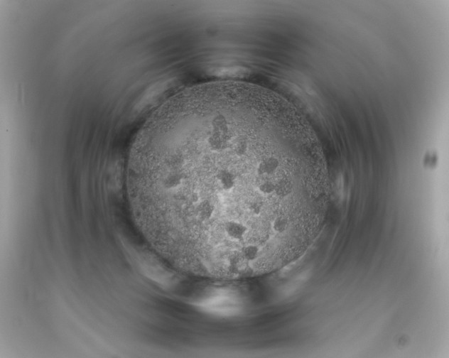 X0000092060175200709121401