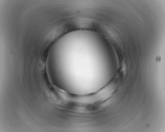 X0000092060176200709121401