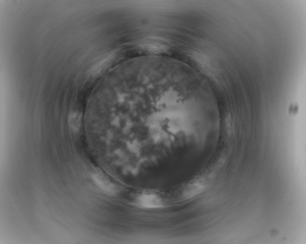 X0000092060177200709121401