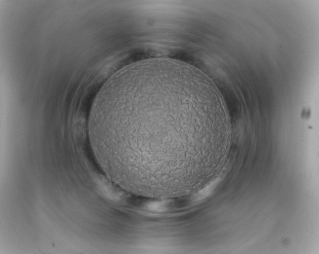 X0000092060178200709121401