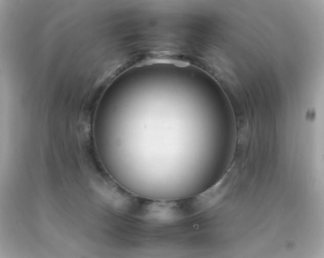 X0000092060179200709121401