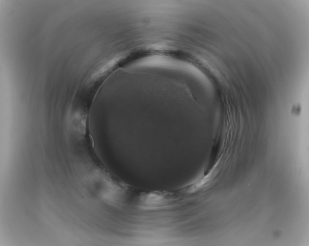 X0000092060180200709121401