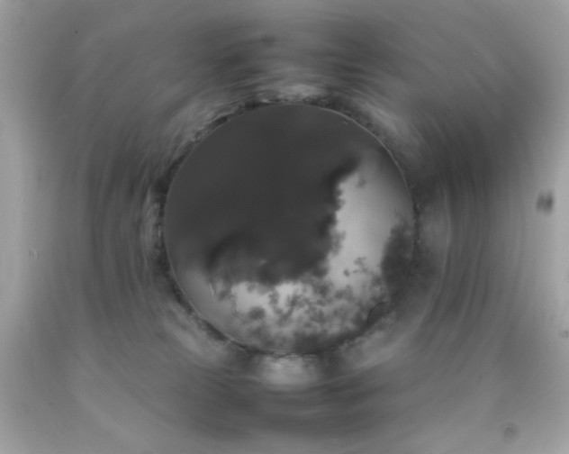 X0000092060181200709121401