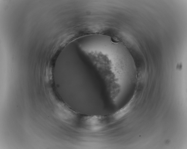 X0000092060182200709121401