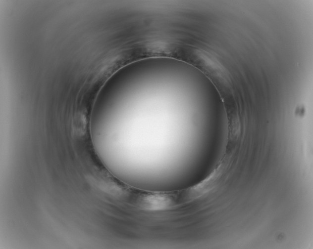 X0000092060183200709121401